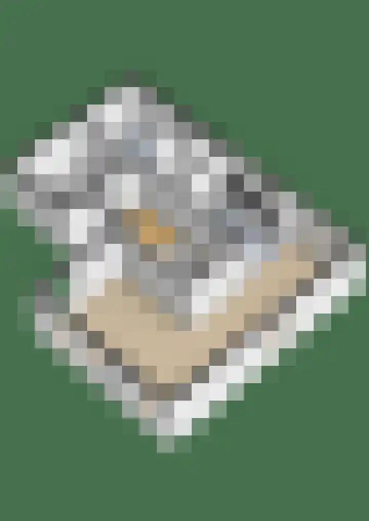 Wolveschansdreef 35 Leek thumbnail 65
