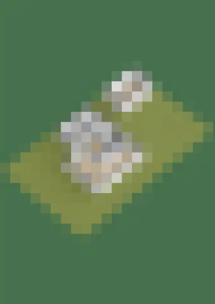 Wolveschansdreef 35 Leek thumbnail 73