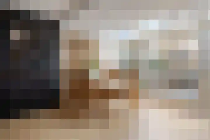 Wolvespoor 46 Oss thumbnail 13