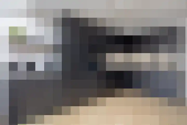 Wolvespoor 46 Oss thumbnail 14