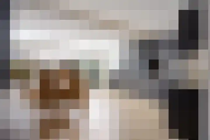 Wolvespoor 46 Oss thumbnail 17
