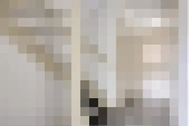 Wolvespoor 46 Oss thumbnail 19