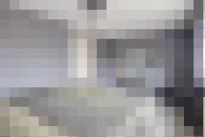 Wolvespoor 46 Oss thumbnail 21