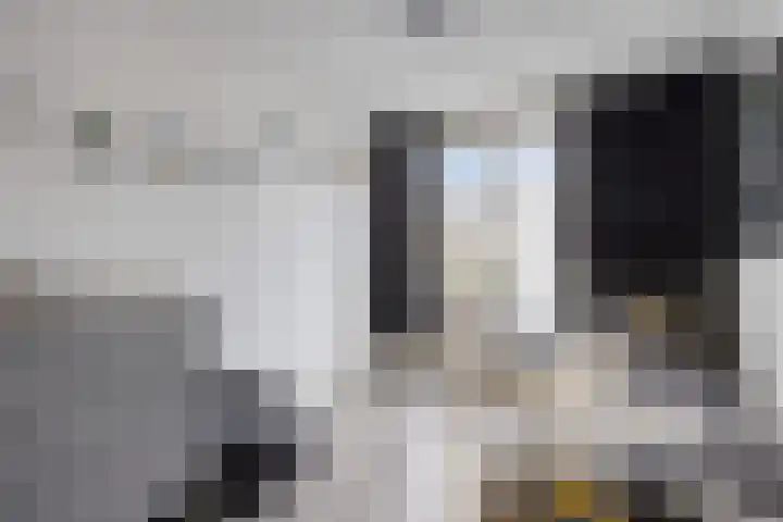 Wolvespoor 46 Oss thumbnail 24