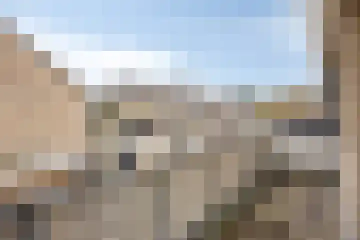 Wolvespoor 46 Oss thumbnail 26