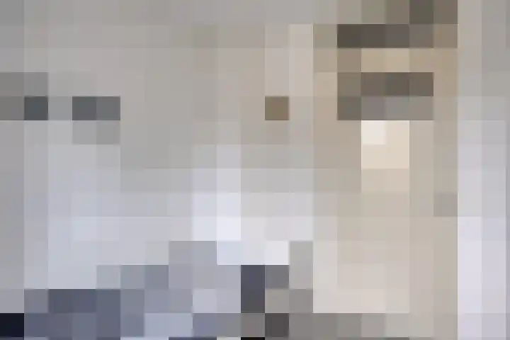 Wolvespoor 46 Oss thumbnail 29