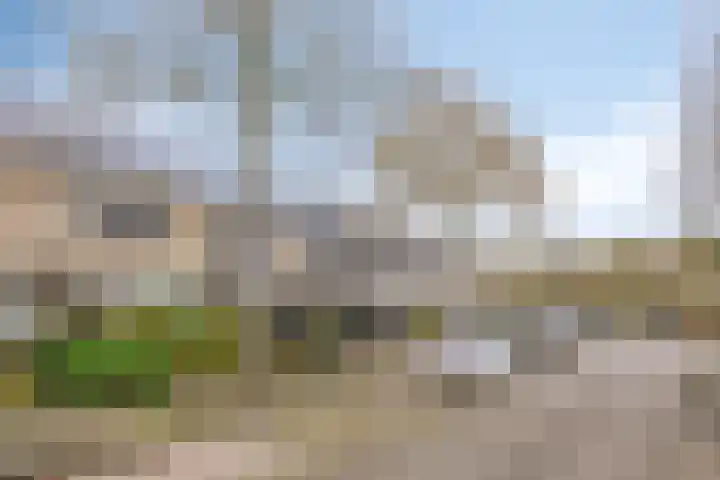 Wolvespoor 46 Oss thumbnail 35