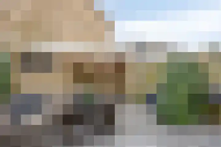 Wolvespoor 46 Oss thumbnail 4