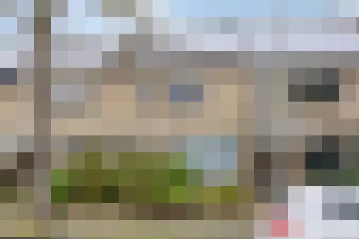 Wolvespoor 46 Oss thumbnail 5