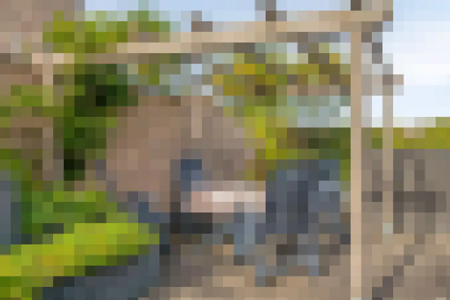 Wolweg 23 Veenendaal thumbnail 30