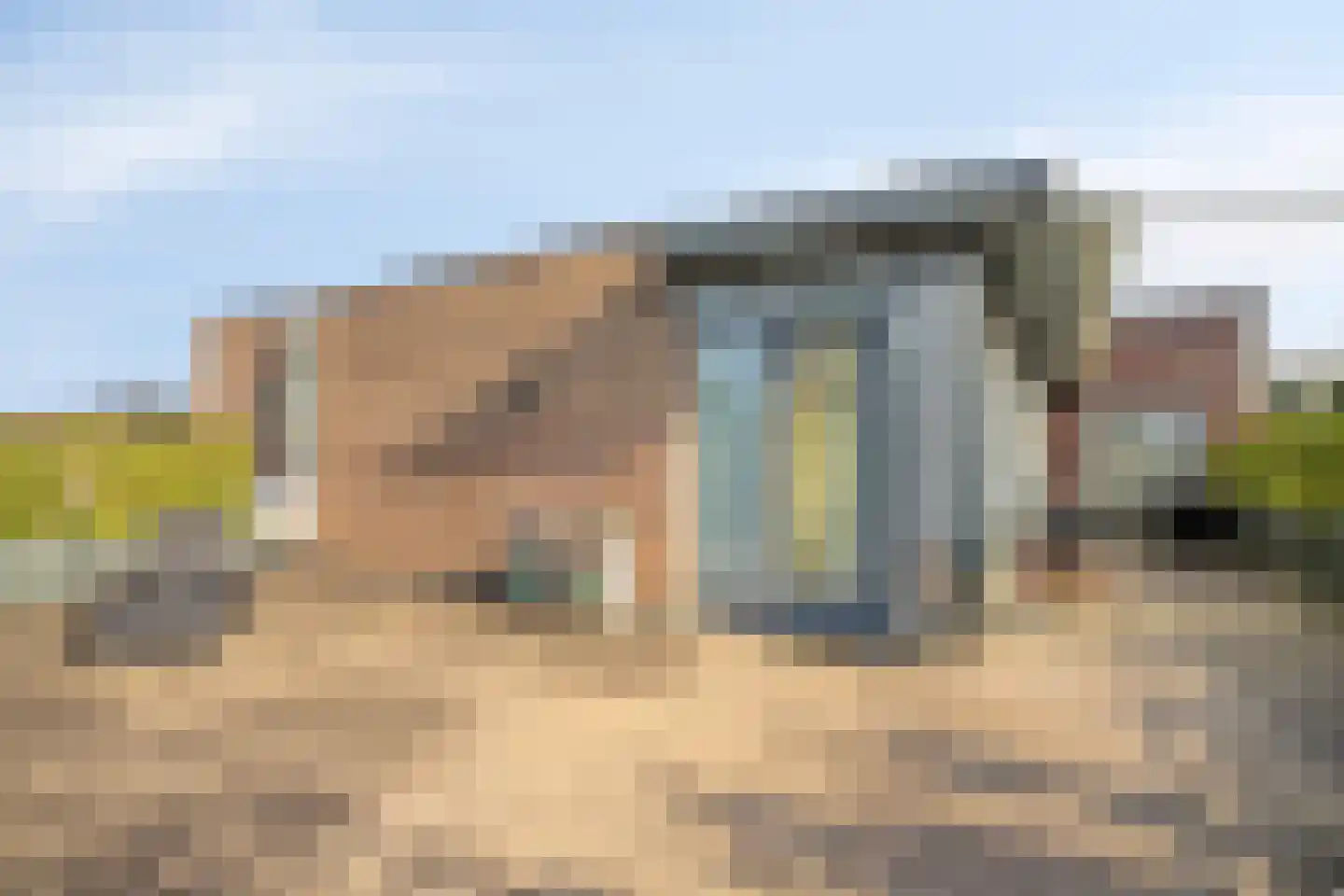 Wolweg 23 Veenendaal thumbnail 31
