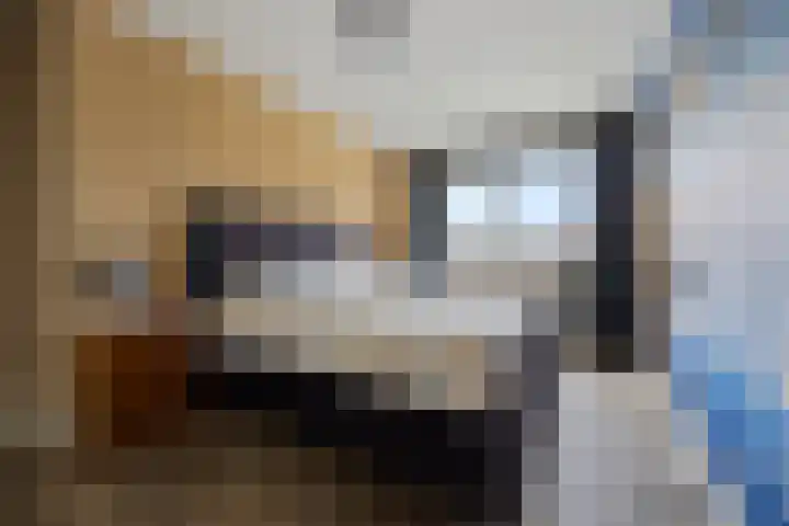 Wolweg 39 Stroe thumbnail 27