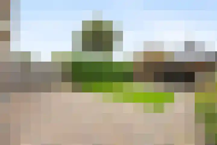 Wolweg 39 Stroe thumbnail 4
