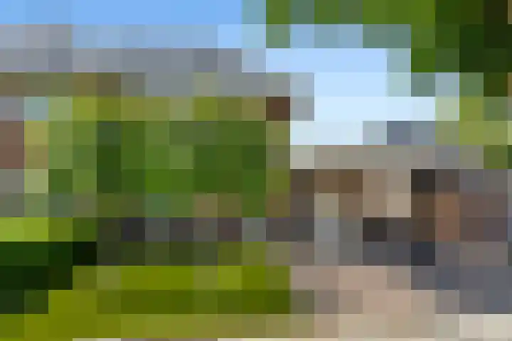 Wolweg 43 C Stroe thumbnail 41