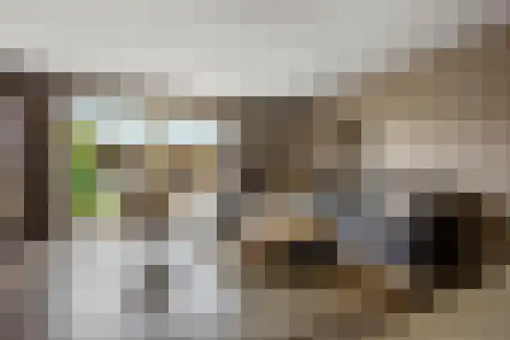 Wolweg 43 C Stroe thumbnail 8