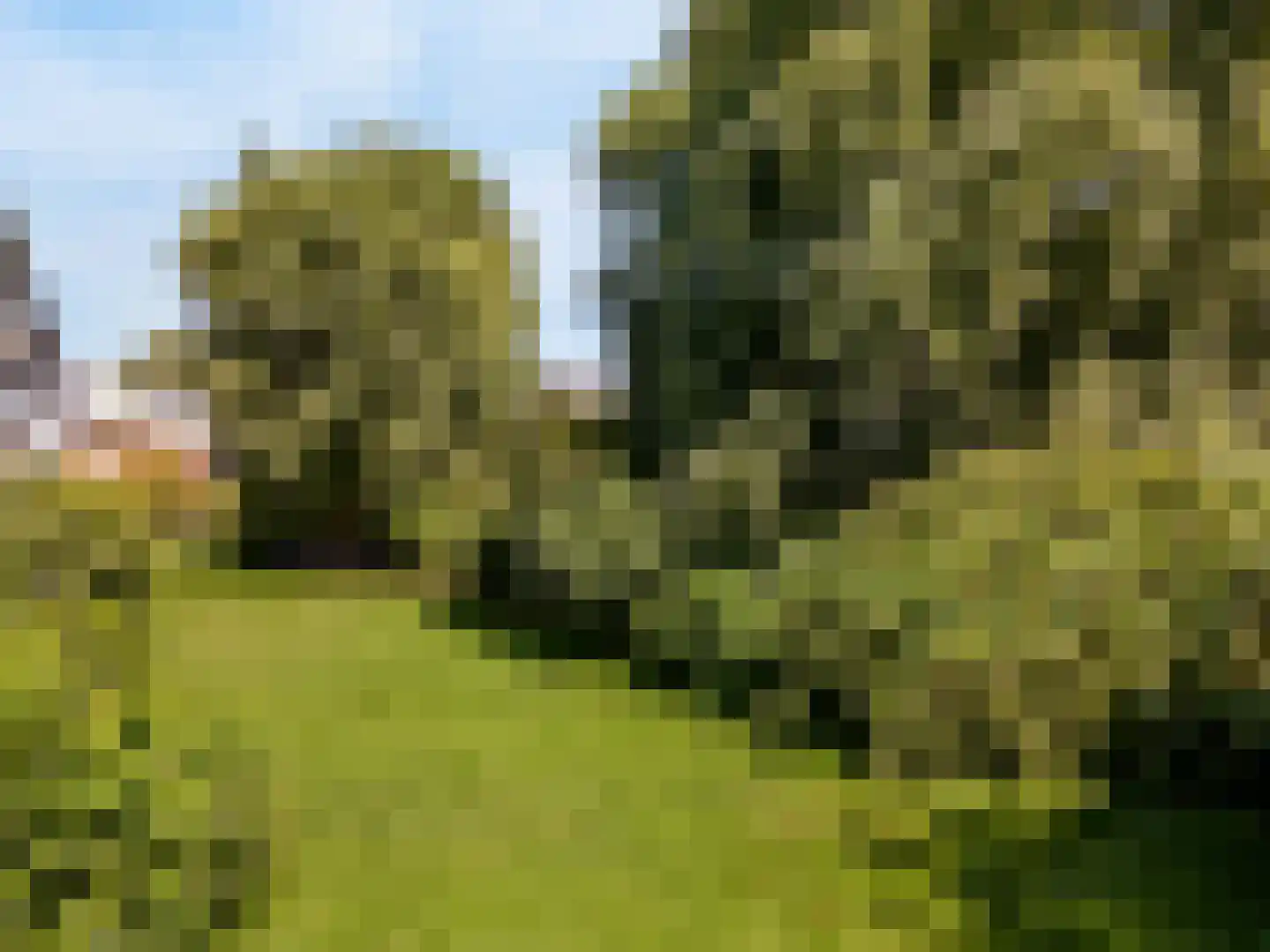 Wolweversgaarde 150 Den Haag thumbnail 15