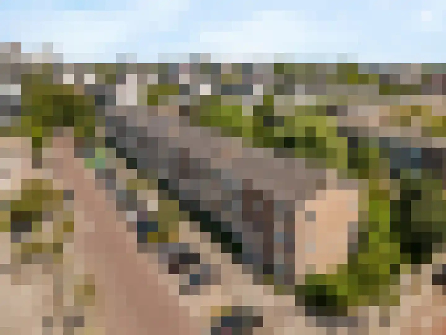 Wolweversgaarde 150 Den Haag thumbnail 8