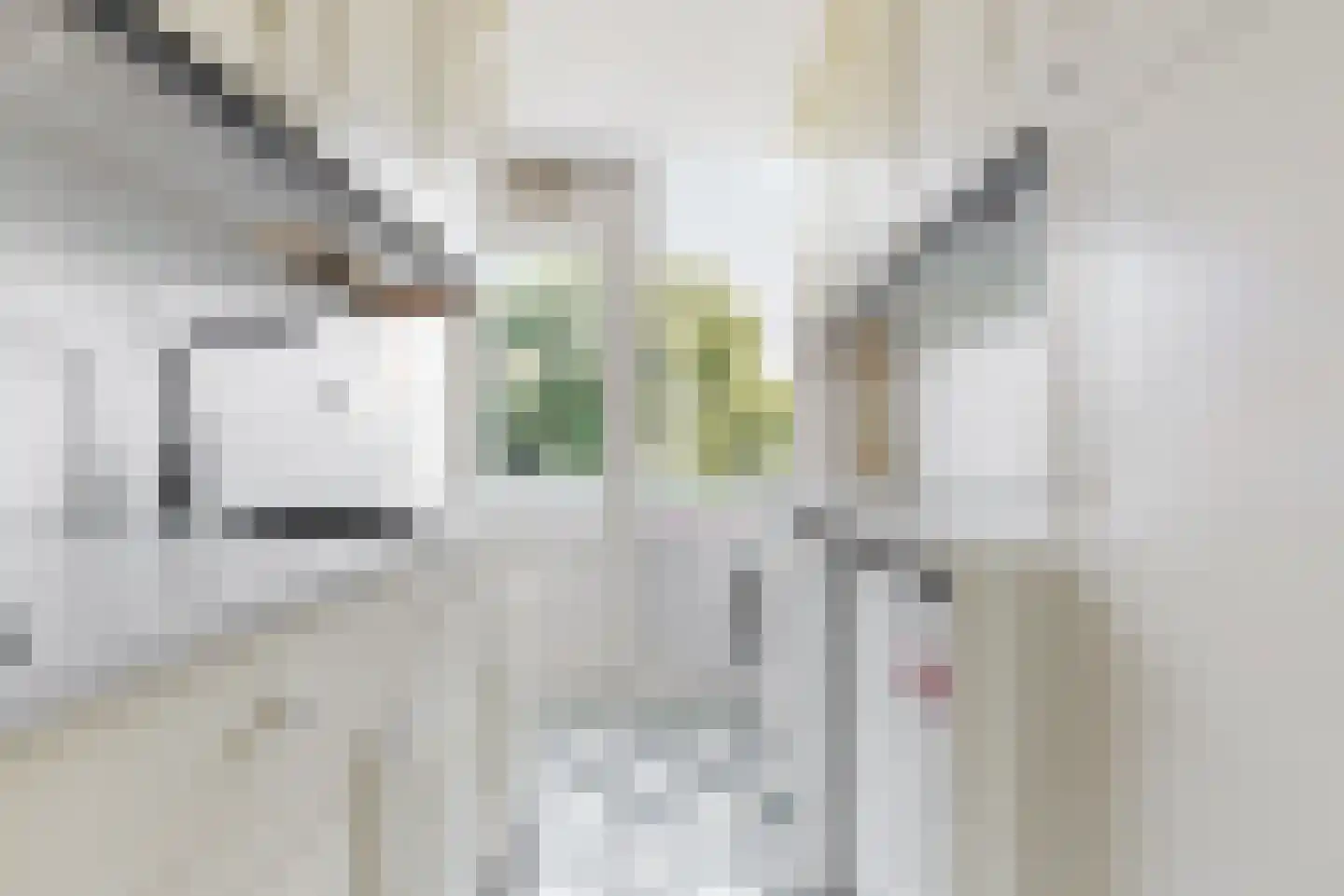 Wolweversgaarde 150 Den Haag thumbnail 9