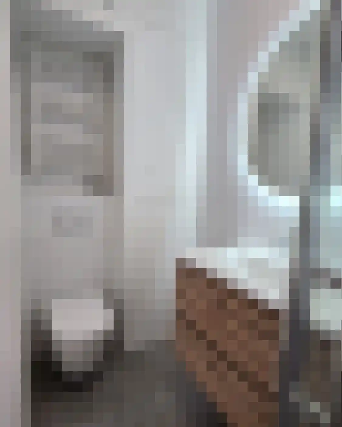 Wolweversgaarde 32 Den Haag thumbnail 6