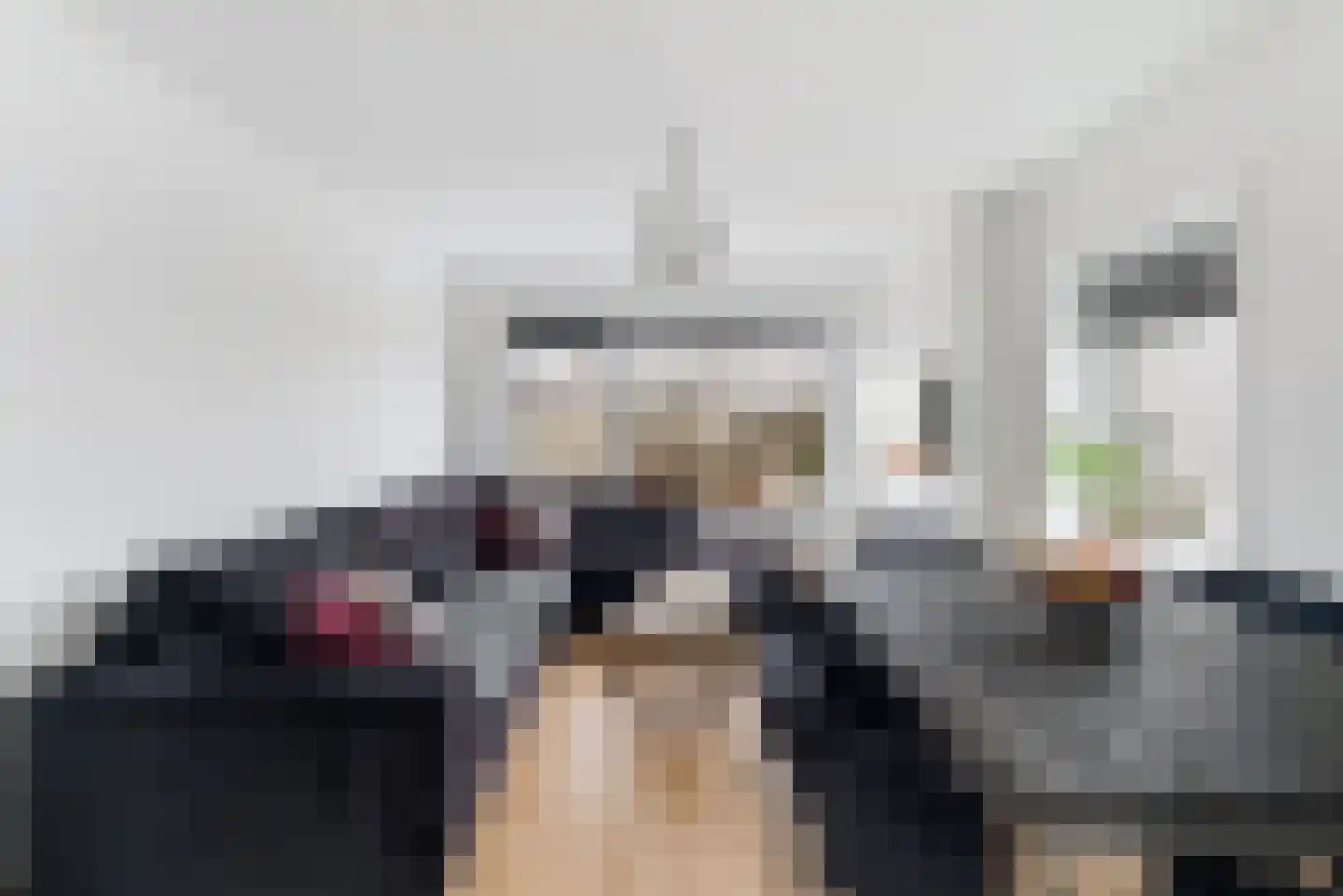 Wolweversgaarde 739 Den Haag thumbnail 4