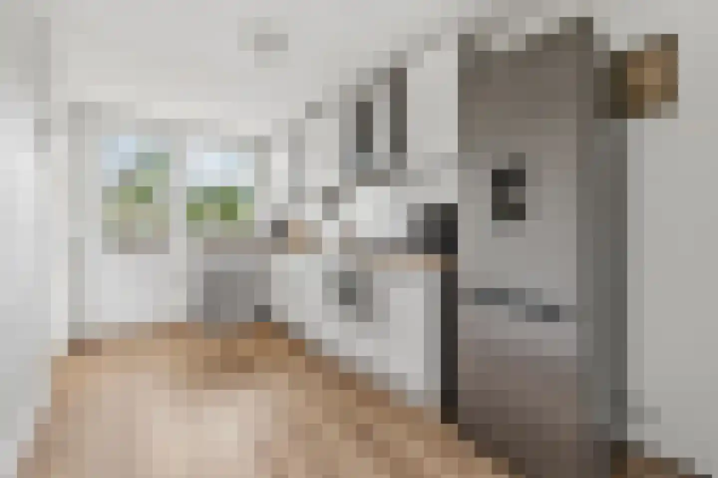 Wolweversgaarde 791 Den Haag thumbnail 7