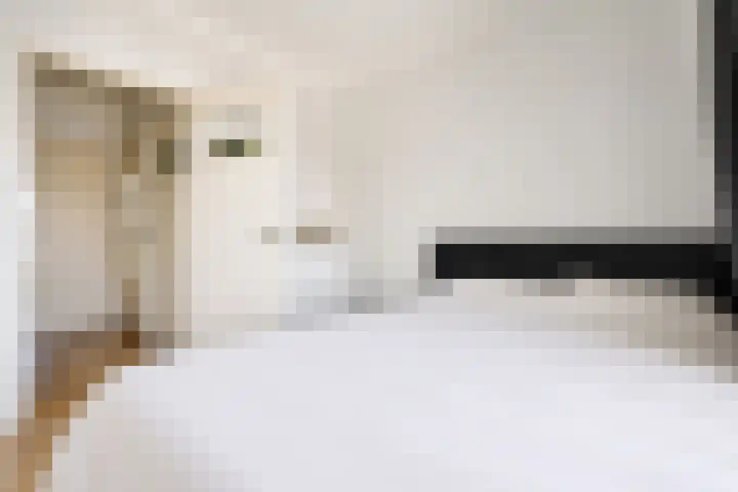 Wolweversgaarde 833 Den Haag thumbnail 9