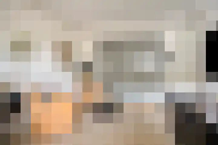 Wolweversgilde 4 Hasselt thumbnail 18