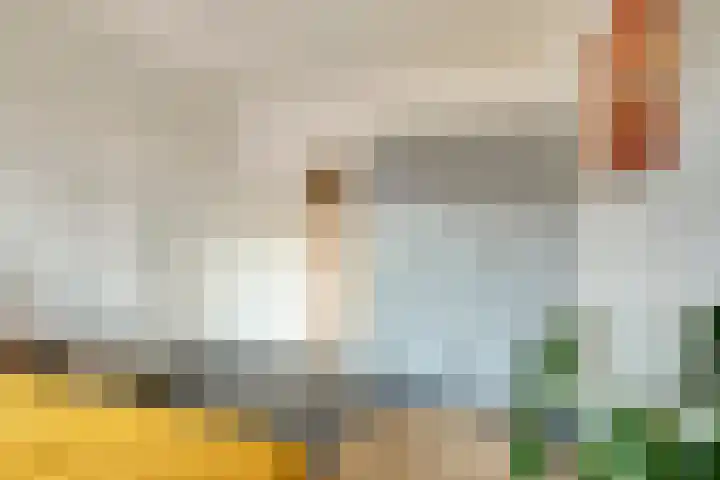 Wolweversgilde 4 Hasselt thumbnail 21