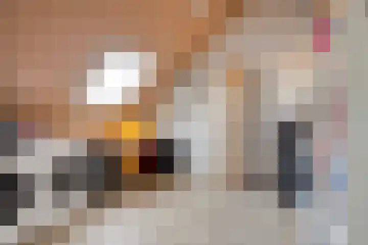Wolweversgilde 4 Hasselt thumbnail 28