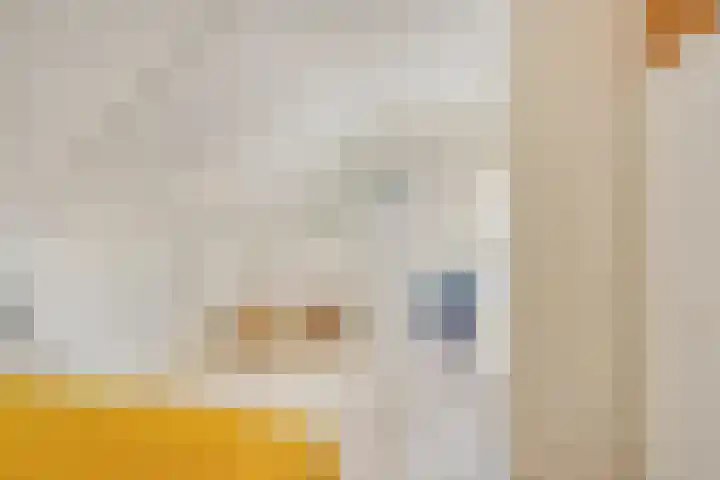Wolweversgilde 4 Hasselt thumbnail 31