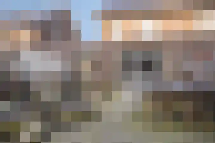 Wolweversgilde 4 Hasselt thumbnail 36