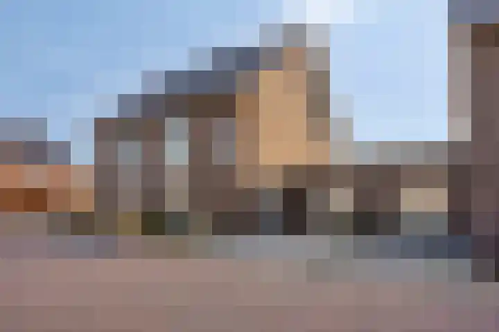 Wolweversgilde 4 Hasselt thumbnail 5