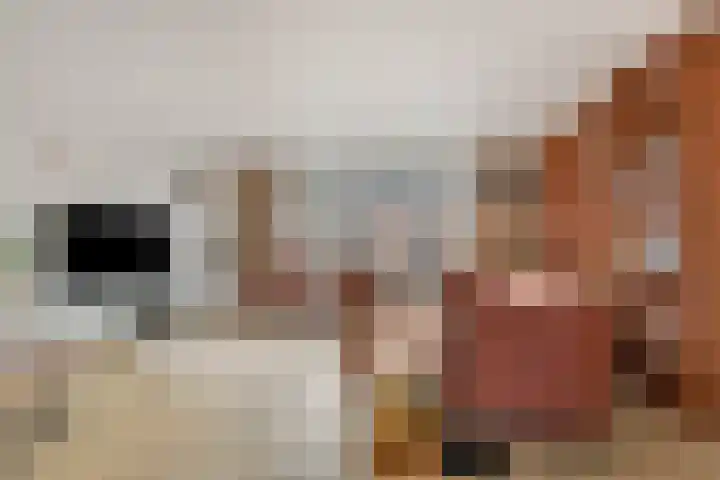 Wolweversgilde 4 Hasselt thumbnail 9