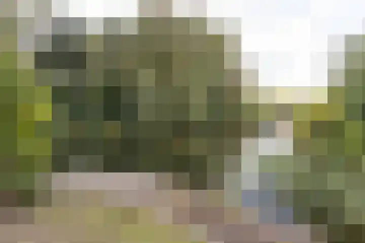 Wolweversgilde 58 Hasselt thumbnail 19