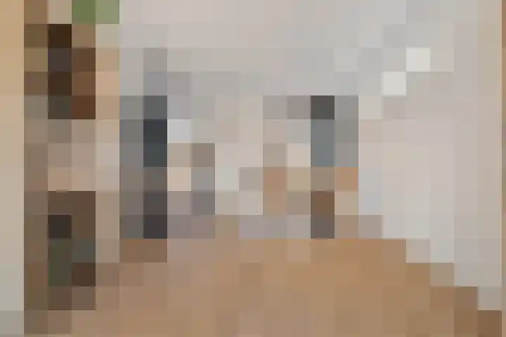 Wolweversgilde 58 Hasselt thumbnail 23