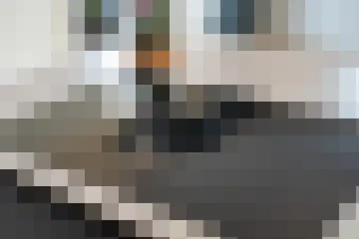 Wolweversgilde 58 Hasselt thumbnail 29