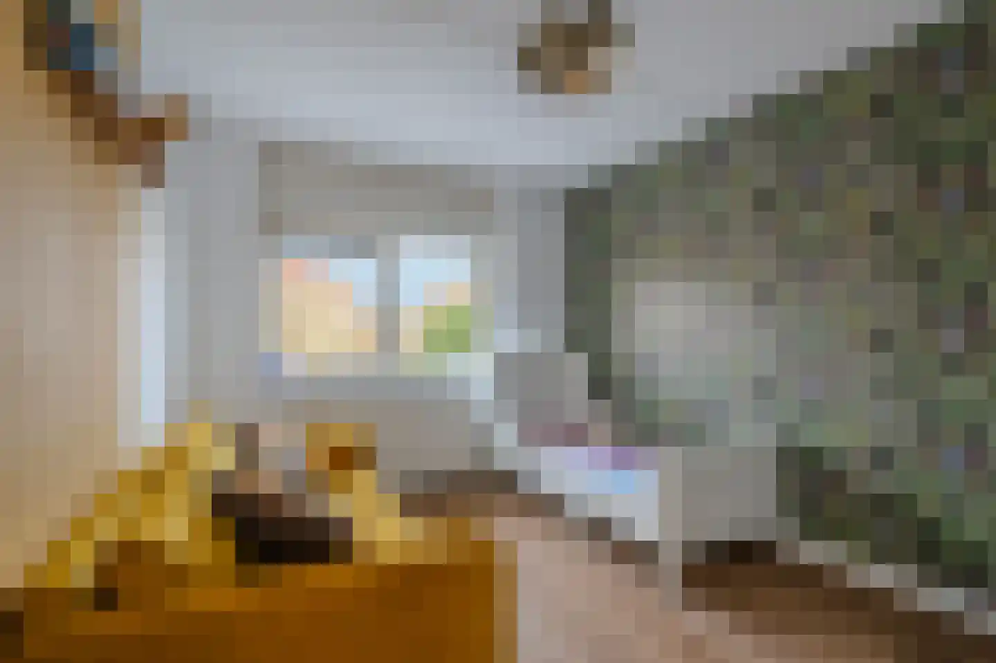 Wolweversgilde 58 Hasselt thumbnail 30