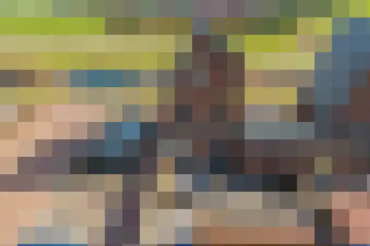 Wolweversgilde 58 Hasselt thumbnail 37