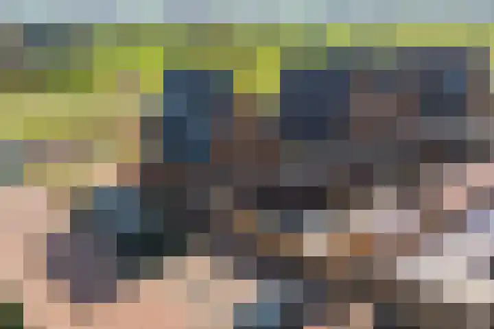 Wolweversgilde 58 Hasselt thumbnail 38
