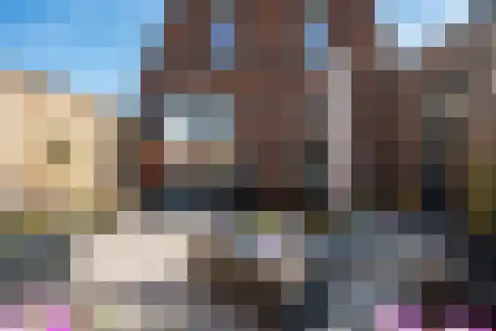 Wolweversgilde 58 Hasselt thumbnail 4