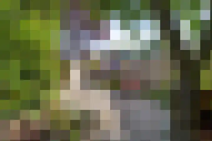Wolwevershorst 105 Apeldoorn thumbnail 40