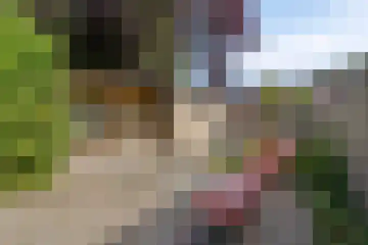 Wolwevershorst 105 Apeldoorn thumbnail 41