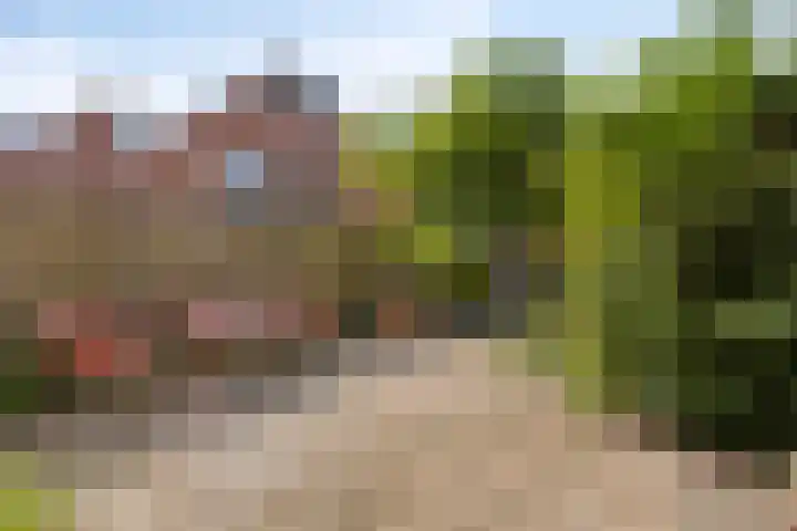 Wolwevershorst 105 Apeldoorn thumbnail 43