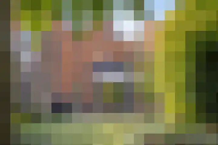 Wolwevershorst 105 Apeldoorn thumbnail 44