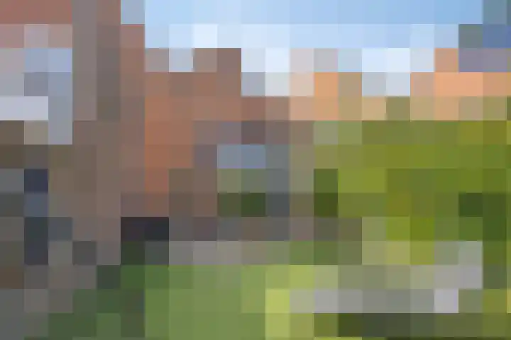 Wolwevershorst 105 Apeldoorn thumbnail 45