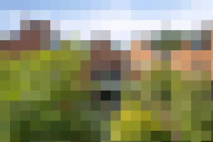 Wolwevershorst 105 Apeldoorn thumbnail 46