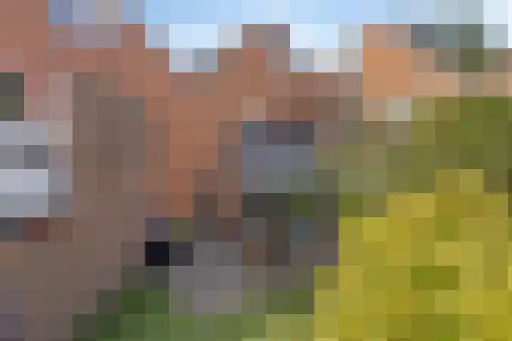 Wolwevershorst 105 Apeldoorn thumbnail 47