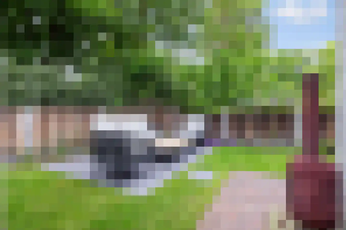 Wolwevershorst 63 Apeldoorn thumbnail 11