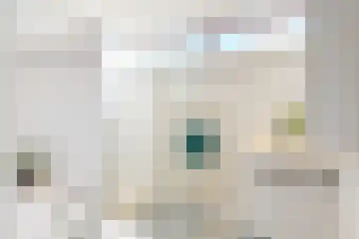 Wolweverslaan 11 De Meern thumbnail 25