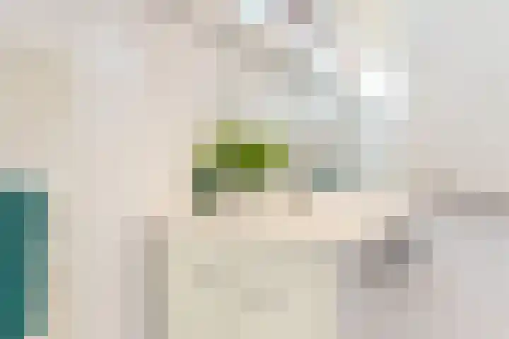 Wolweverslaan 11 De Meern thumbnail 27